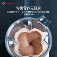 维他密斯(Vitamix)破壁料理机E310 全自动家用多功能破壁机 物理加热双重保护 搅拌机豆浆机料理机榨汁机