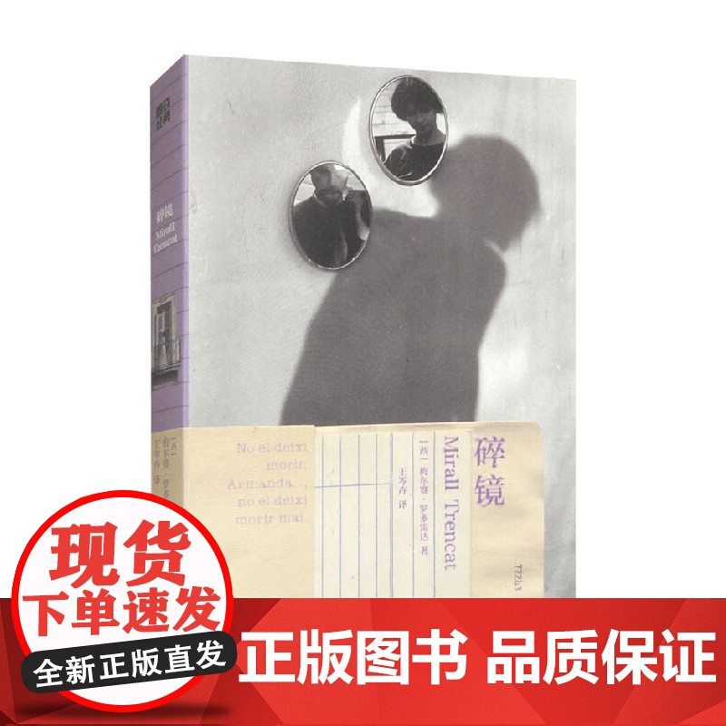 磨铁经典第7辑 碎镜 梅尔赛·罗多雷达 著 外国文学高清大图