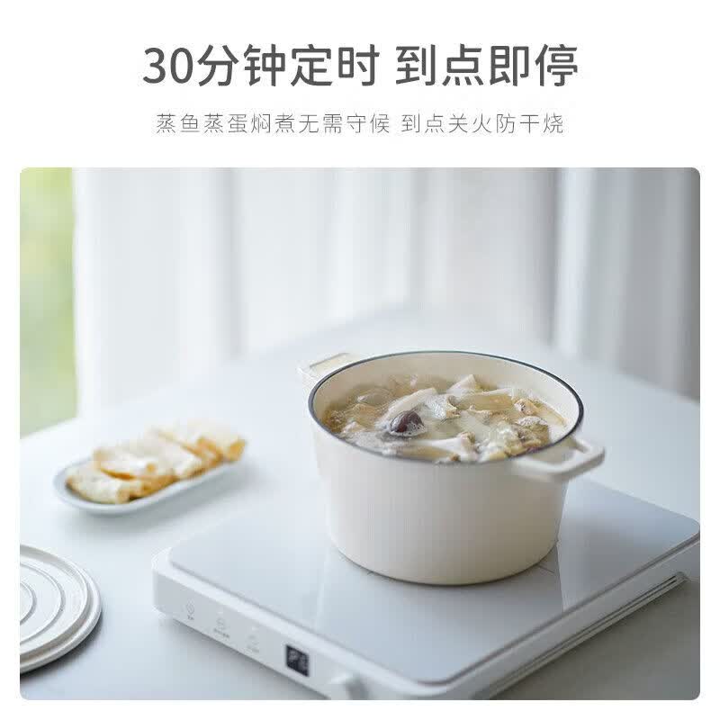 OLAYKS 立时电磁炉 OLK-C01A 2200W 9档火力整板微晶面板过热保护安全厨电高清大图