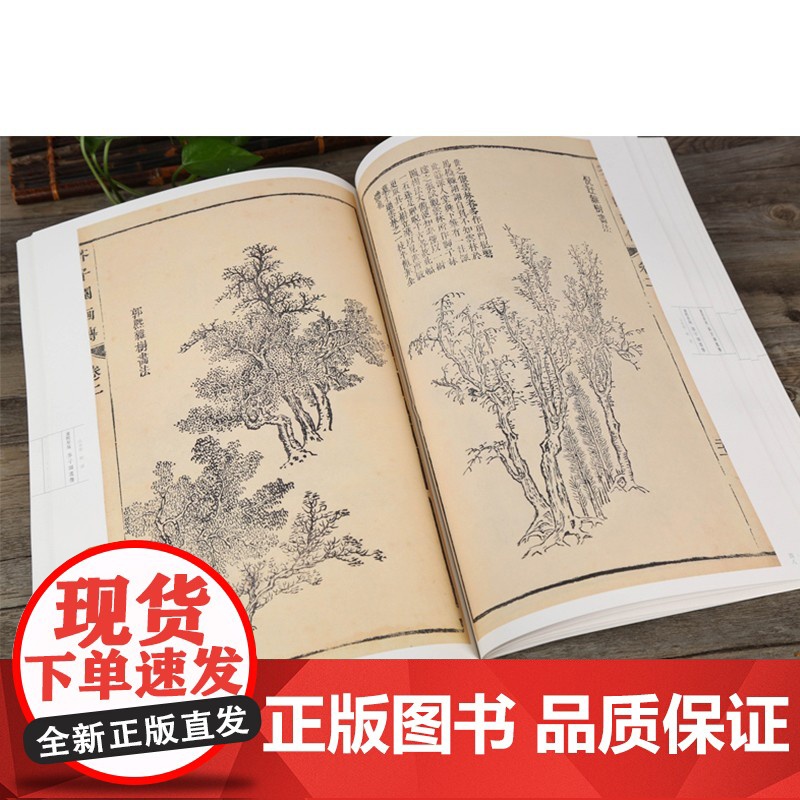 正版芥子园画谱康熙原版 画传 山水卷树谱 正版自学美术国画绘画范本临摹本树法叶法夹叶及著色钩藤法临摹技法 安徽美术出高清大图