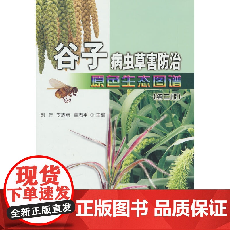 谷子病虫草害防治原色生态图谱(第二版)高清大图