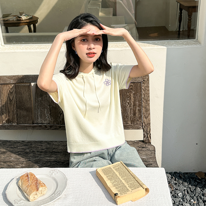[2.5折价67元]唐狮连帽针织衫别致夏季新款休闲短袖T恤女冰丝短款上衣设计感F