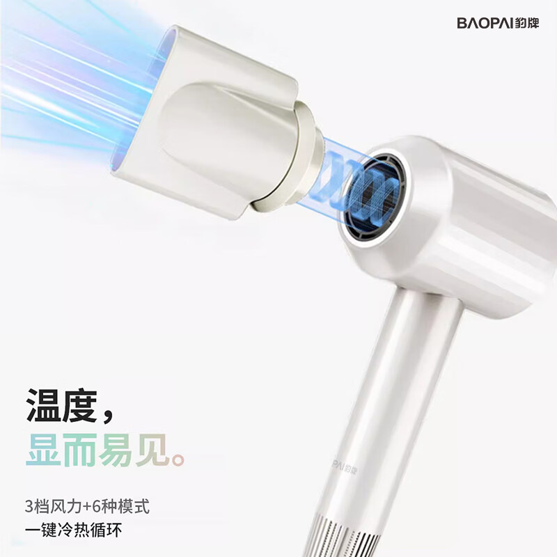 豹牌 负离子高速电吹风 BP-HD307高清大图