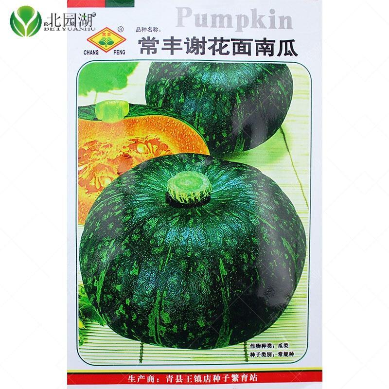 北园湖园艺用品谢花面南瓜种子家庭菜园蔬菜种子绿栗南瓜种子常丰谢花面南瓜10克 价格图片品牌报价 苏宁易购花中岛园艺专营店