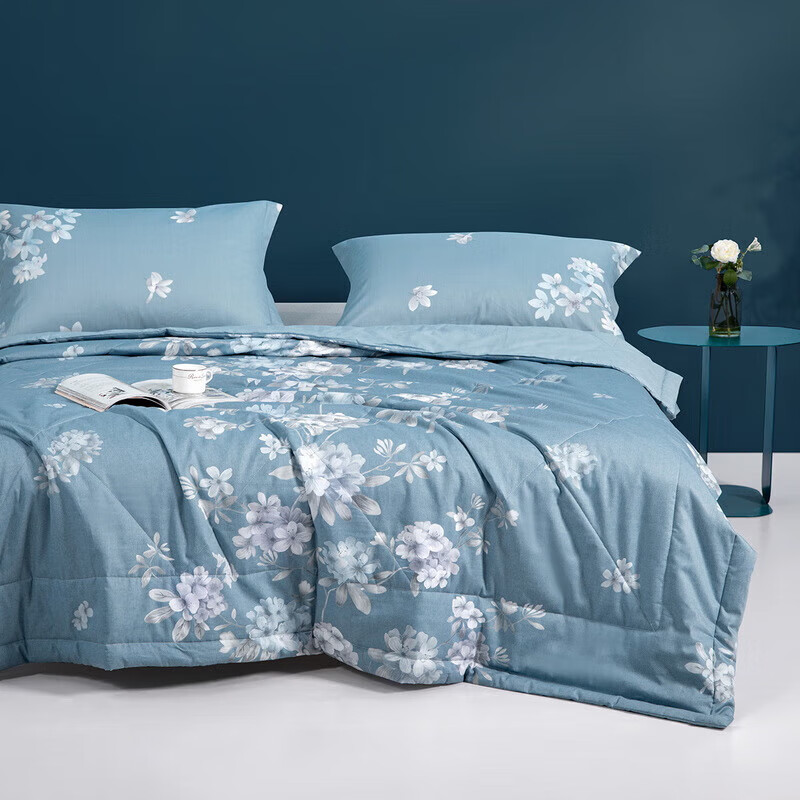 水星家纺 空调被夏凉被子七孔纤维夏被子约1600克200*230cm蓝高清大图