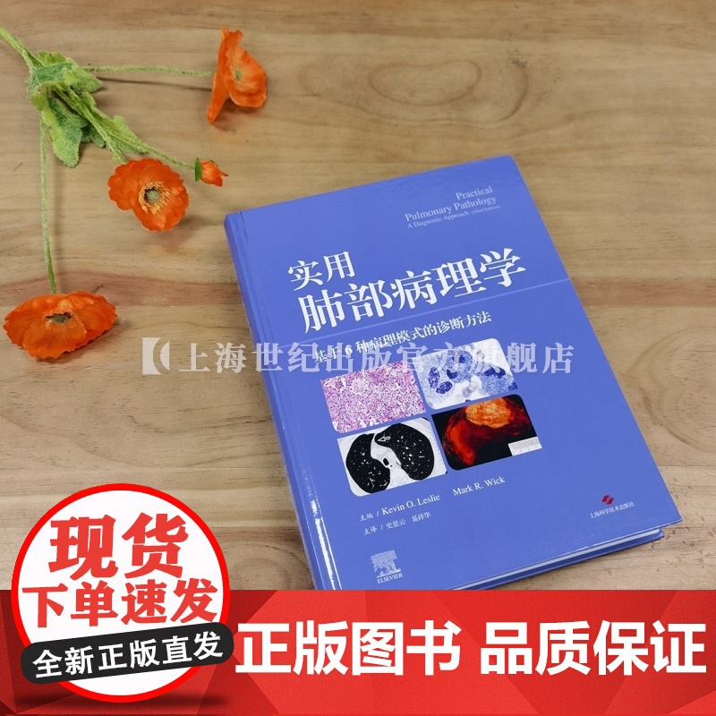 实用肺部病理学 :基于6种病理模式的诊断方法 上海科学技术出版社高清大图