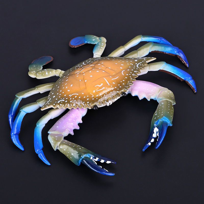 帝王蟹仿真螃蟹假梭子蟹大闸蟹模型海洋动物龙虾小道具儿童认知玩具
