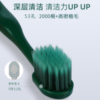 倍加洁大宽头护龈软毛国潮风牙刷2支独立包装 53孔高密植毛