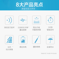 【下单送刷头】飞利浦（Philips） 电动牙刷 HX6231/01 成人通用充电式 声波震动31000牙刷 智能计时