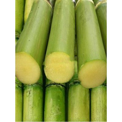 甘蔗甘蔗青皮绿脆皮甘蔗肉5斤装可开发票_986