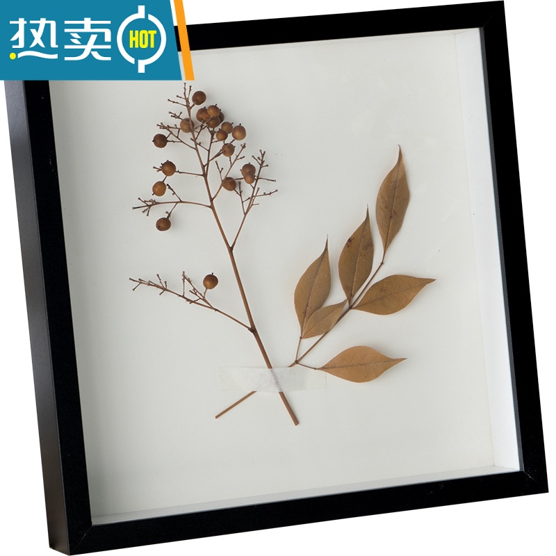 敬平立体中空标本框diy手工相框摆台蝴蝶昆虫粘土干花保存展示画框架 黑色中空3cm[不含植物标本] 8寸(15.2*20高清大图