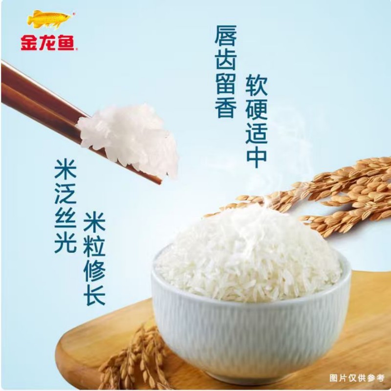 金龙鱼米油套装粮油组合高清大图