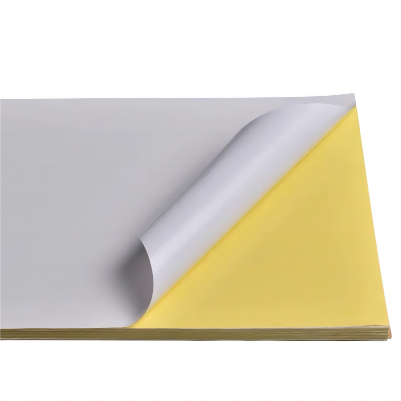 蓉益驰 RYC5666A PVC 220x150mm 标签胶贴 1.00张/盒(计价单位:盒)白色高清大图