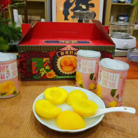 【中华特色】砀山扶贫馆 桃美滋 鲜果时光砀山黄桃罐头 食用糖水罐头果捞 华东