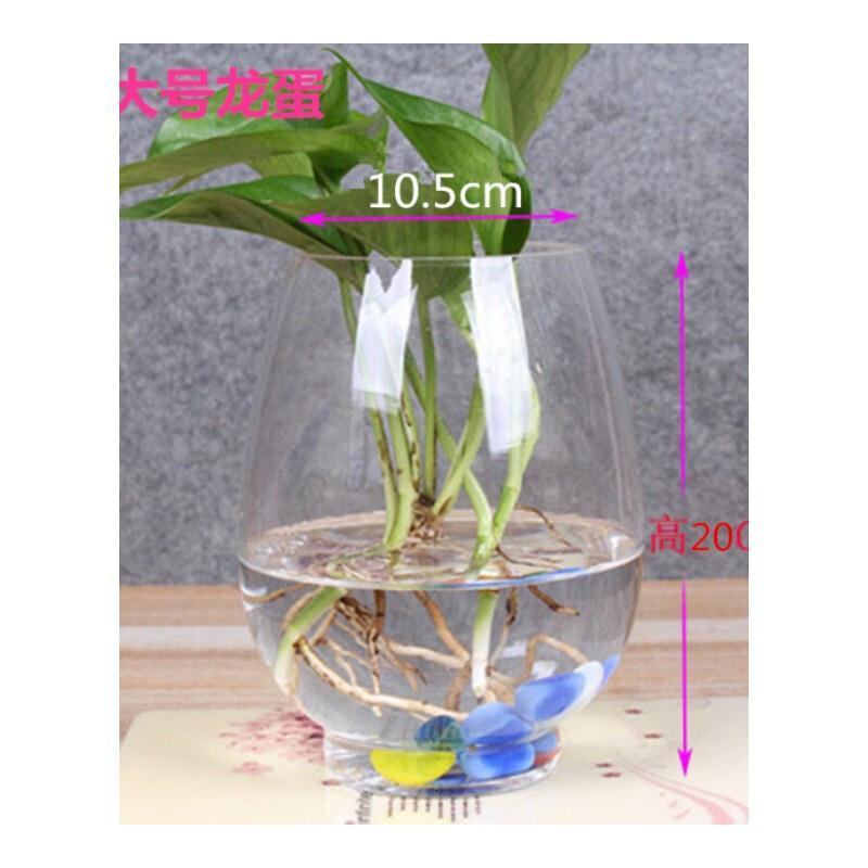 大号水培花盆绿萝水培玻璃圆球花瓶鱼缸透明水培植物器皿特大号龙蛋(送定直篮)大