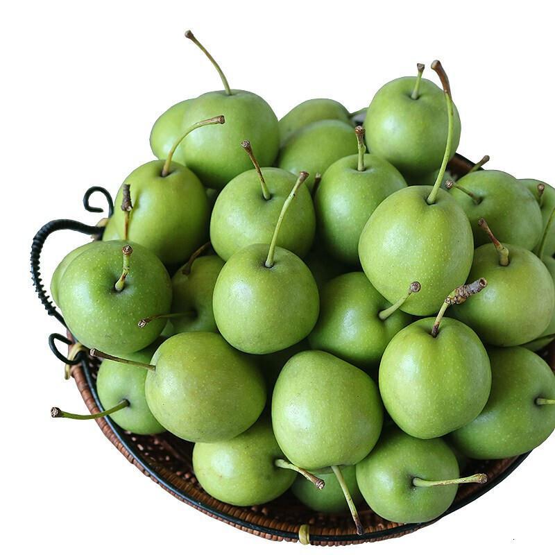 广西青皮山楂果2019现摘非小果山