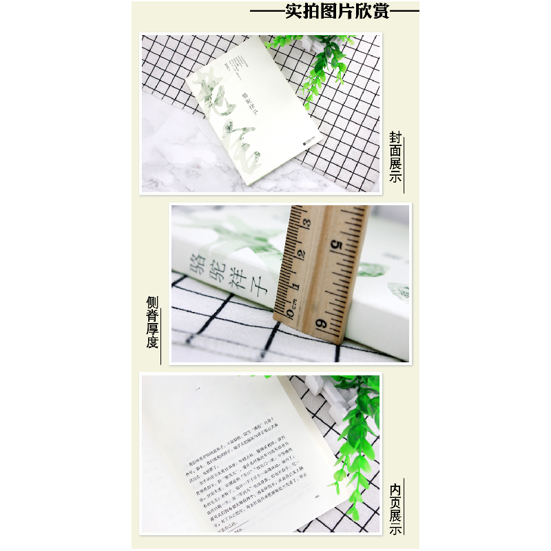 正版 骆驼祥子 老舍 江苏凤凰文艺出版社 9787539999159 书籍高清大图