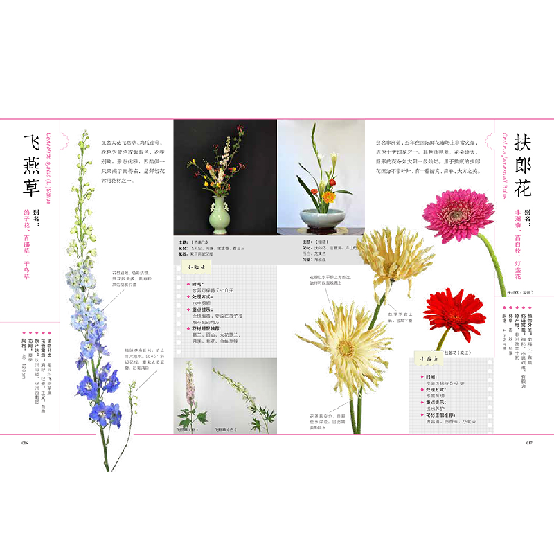 正版新书]超人气! 花艺素材图鉴唐秋子,胡晓娃 著;凤凰空间 出高清大图