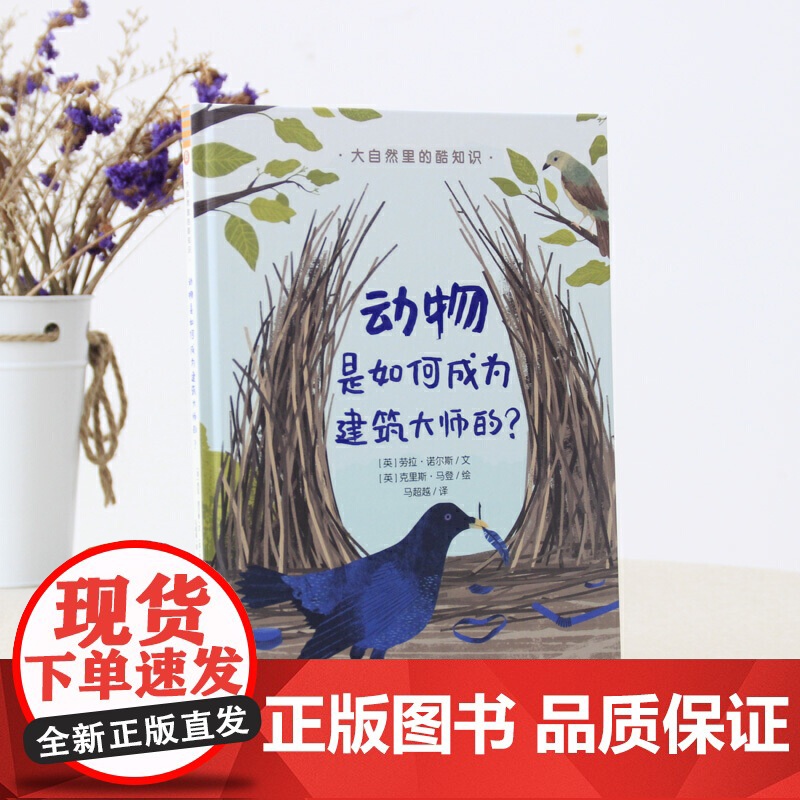 大自然里的酷知识:动物是如何成为建筑大师的?高清大图