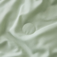 梦洁家纺 抗菌可水洗100%纯蚕丝夏凉被 挽风清竹 200x230cm 350g
