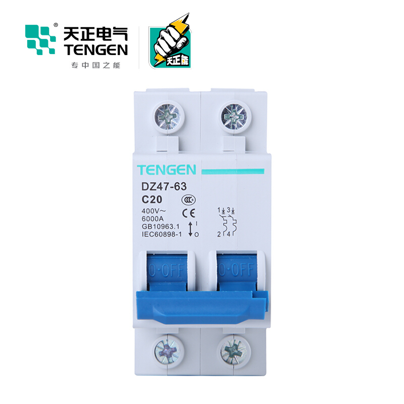 天正电气 空气开关 DZ47-63 2P C 20A 4.5KA 01060020256 微型断路器