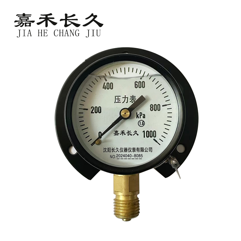 嘉禾长久 风表耐震压力表 YTN100T 块 0-1000KPA