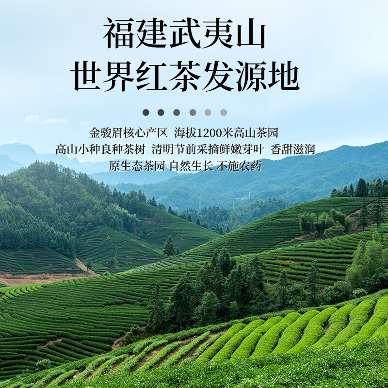 健龙 企业优选 金骏眉红茶浓香茶叶 100包/盒高清大图