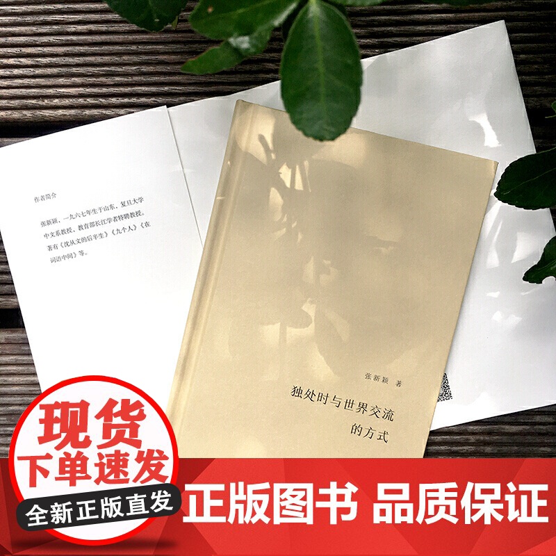 独处时与世界交流的方式(谜文库) 张新颖 华东师范大学出版社 正版书籍高清大图