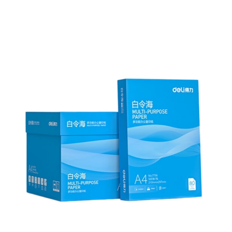 得力(deli)白令海A4打印纸 80g500张*8包一箱 双面加厚 高性价比复印纸 整箱4000张【经济热销】