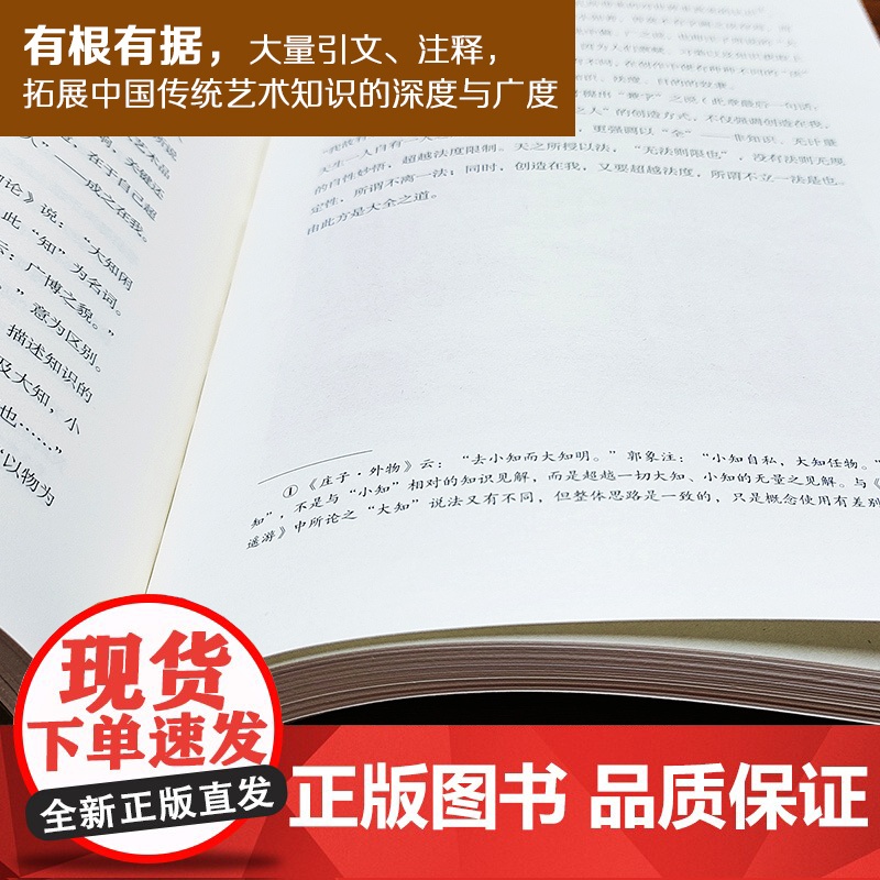 法自画生——石涛的艺术哲学 朱良志艺术哲学文存 中国美学入门 人物传记 解读“一画”论 《画语录》释读高清大图