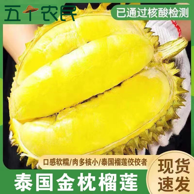 [五个农民]精品泰国进口金枕榴莲新鲜水果当季榴莲7-8斤/1个(包4房)顺丰发货 核酸已检 生切不售后