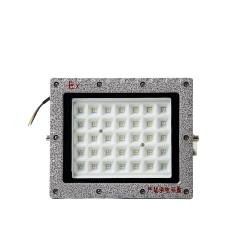浙冠荣 GRDF97-100W 免维护LED防爆泛光灯250×210mm高清大图