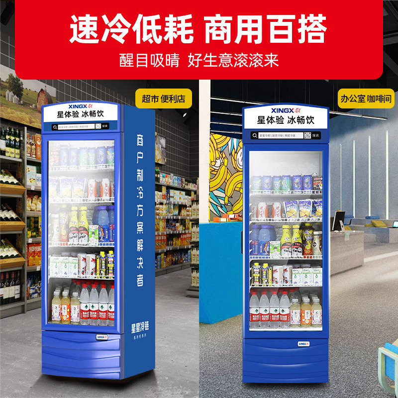 星星(XINGX) 280升展示柜 立式冰柜 保鲜柜 饮料柜 商用 双层玻璃更锁冷 饮品展示更直观 LSC-280G