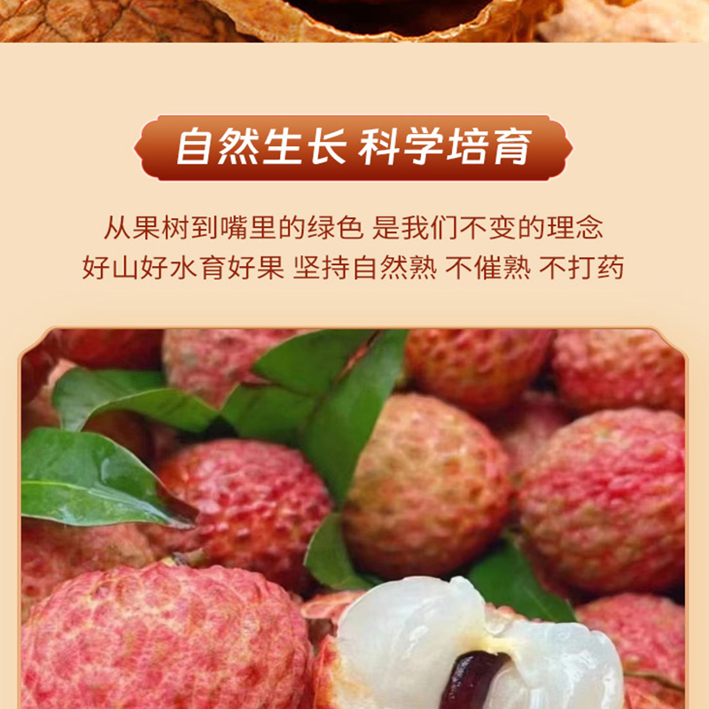 海七 荔枝干 120g /盒高清大图
