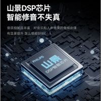 飞利浦TAS5519 K歌蓝牙音响麦克风无线话筒高音质便携式家用户外KTV