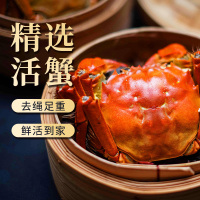 【活蟹】大闸蟹螃蟹公3.5两母2.5两 8只装中秋礼盒 精品活蟹河蟹鲜活直发