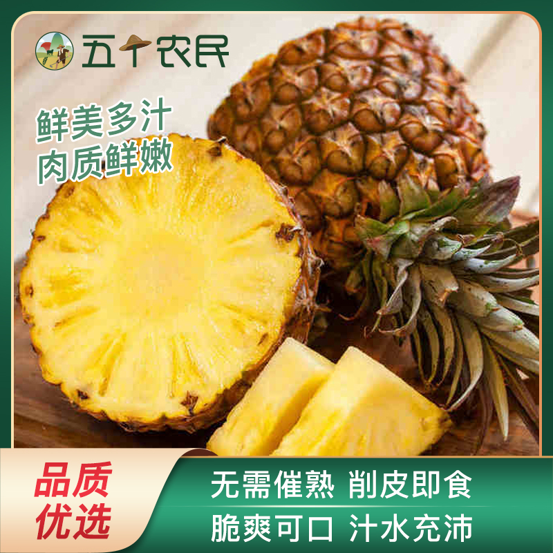 五个农民海南金钻凤梨净重7.5斤大果树上熟应季新鲜手撕凤梨水果菠萝无眼香水大菠萝自营水果生鲜脆爽可口无需催熟削皮即食