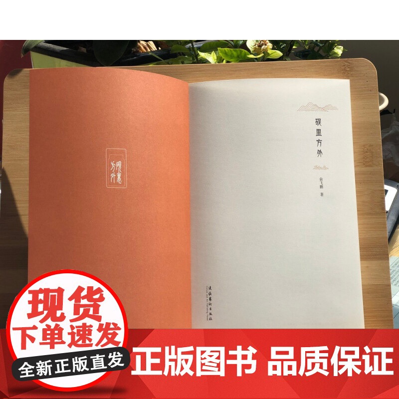 砚里方外 俞飞鹏 著 历史高清大图