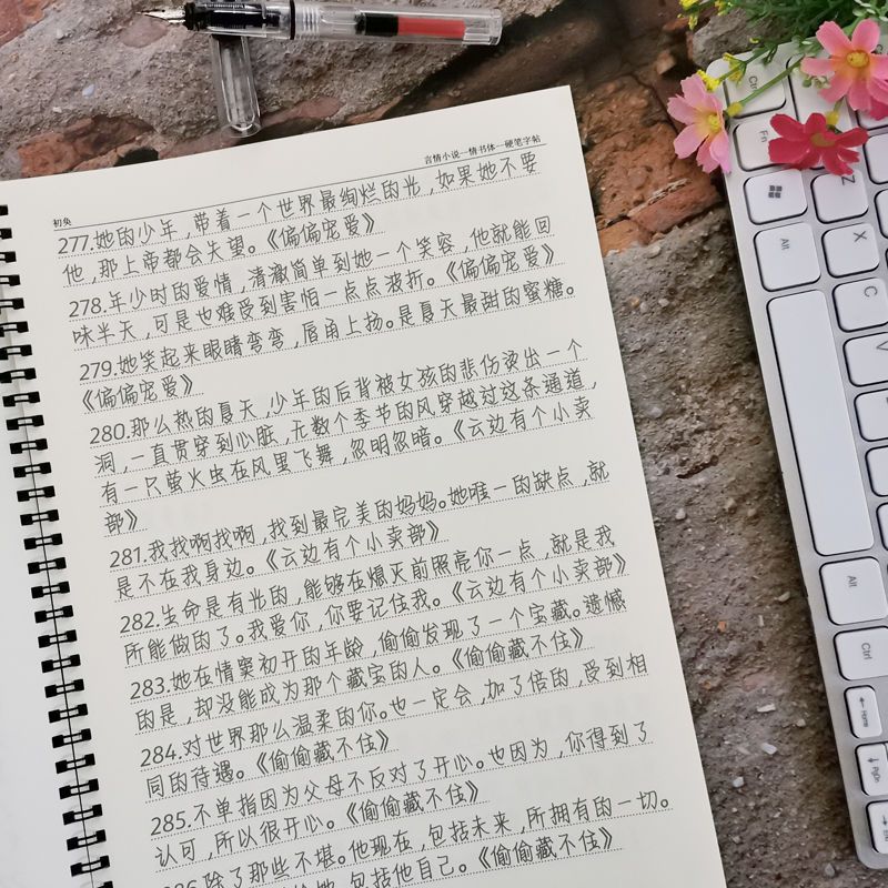 言情小说白日梦我草莓印周边校园甜宠虐心语初中生高中生钢笔字帖 情书体 [套餐一]单本字帖(无赠品 )不推荐