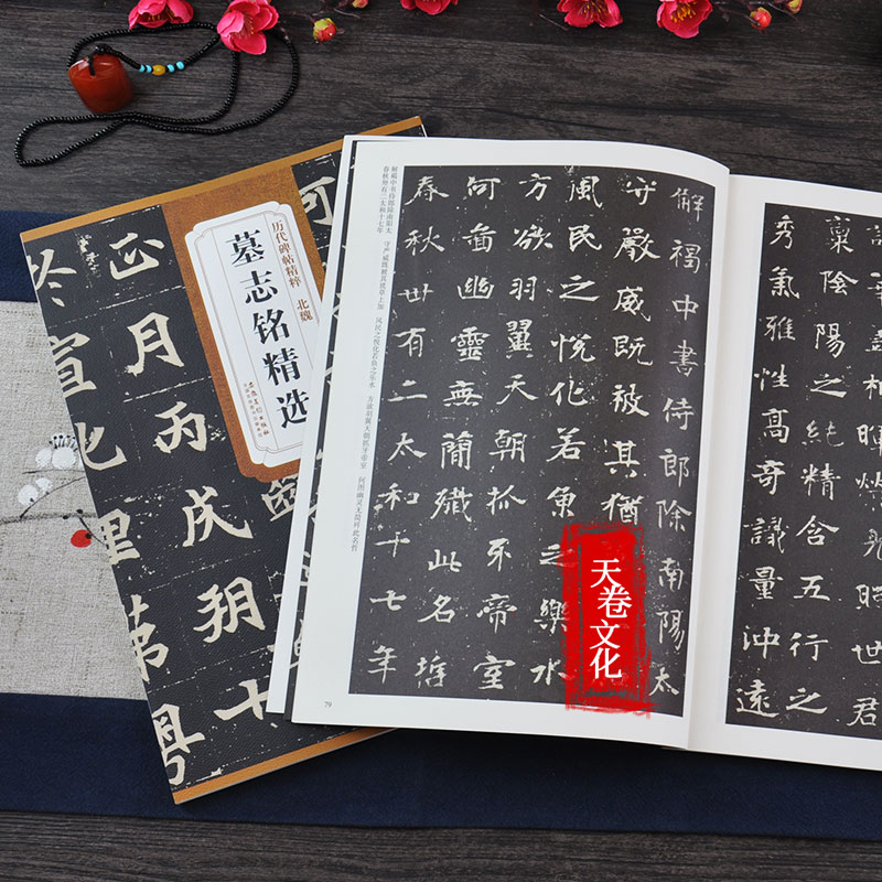 [正版]天卷 北魏 墓志铭选 历代碑帖 杜浩主编 楷书毛笔字帖书法临摹练 元桢墓志铭李壁墓志铭美人董氏墓志铭 简体旁注高清大图