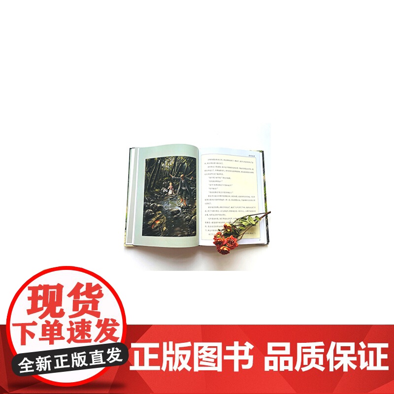 漂流瓶绘本馆-世界插画大师英诺森提作品-喜鹊小偷高清大图