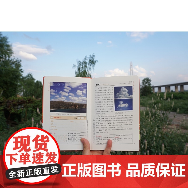 云彩收集者手册 赏云协会科普读物 介绍46种云与大气现象 一天一朵云 全彩图集展示 云图鉴赏 正版书籍高清大图