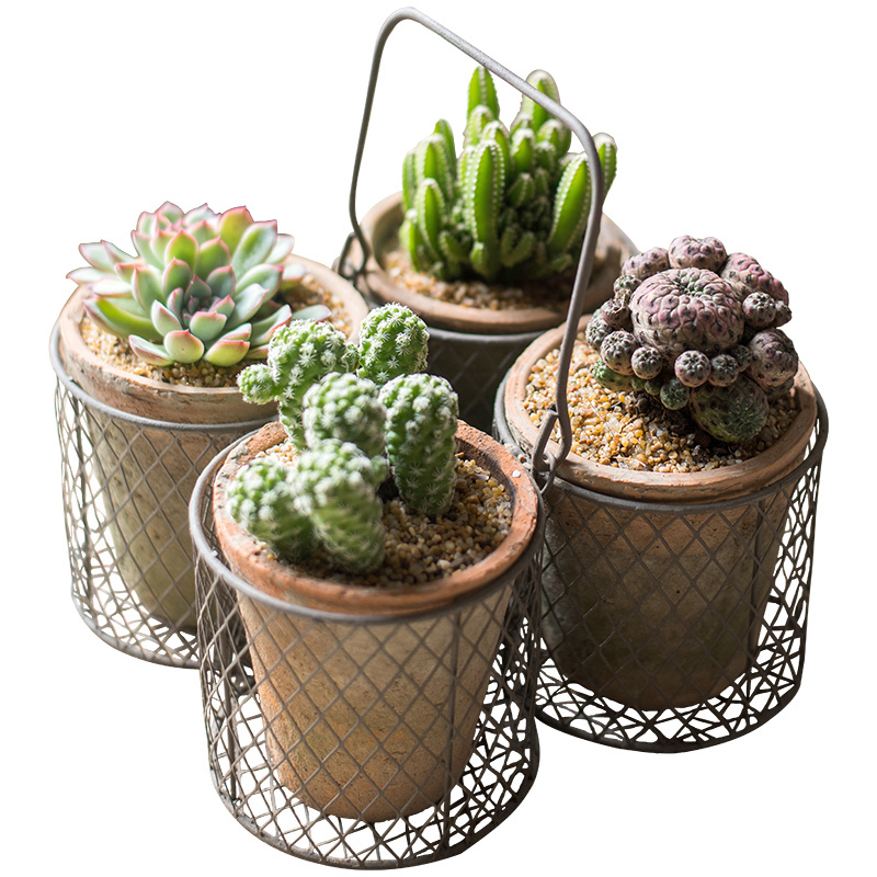 家柏饰(CORATED)泥苔红陶花盆 铁线提篮装饰收纳 花器杂货花园庭院阳台高清大图