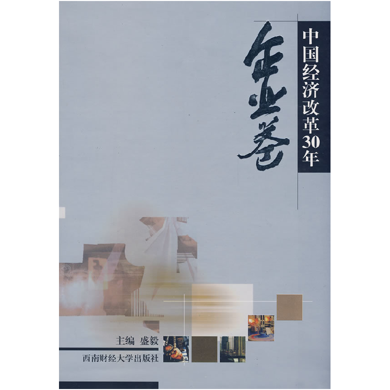 正版新书]中国经济改革30年:企业卷盛毅9787811380415高清大图