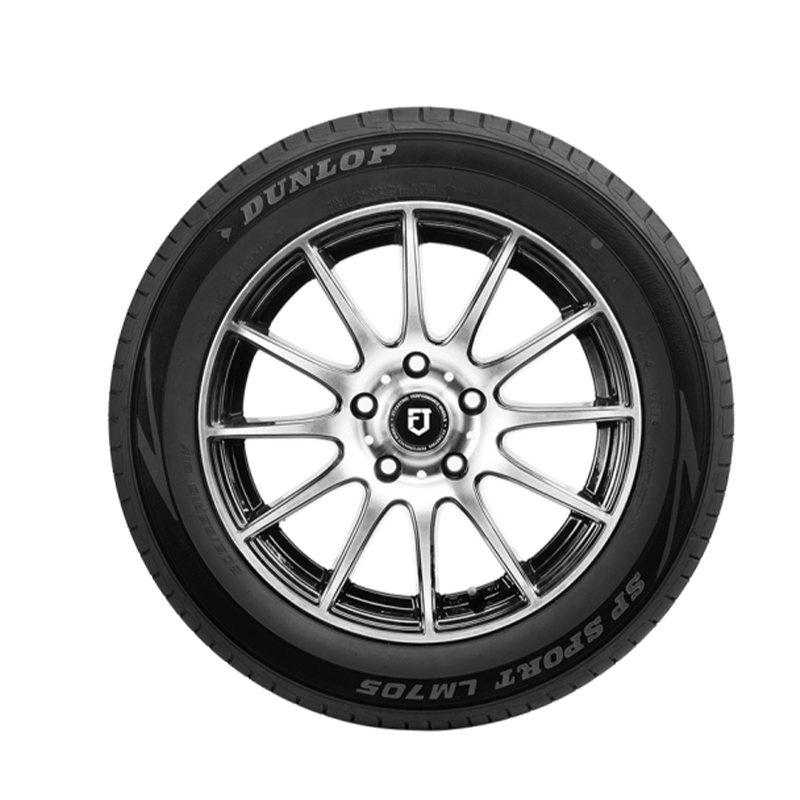 邓禄普(DUNLOP)轮胎 205/65R16 95H ENASAVE EC503