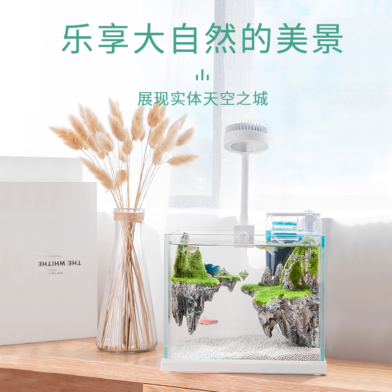 尼泊洱小鱼缸小型客厅办公室桌面创意迷你水族箱微型景观生态鱼缸高清大图