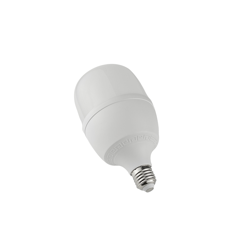 晫安联 ZX2101C AC220V 30W 6500K 螺口式 E27 LED 工业级节能灯泡 ( 计价单位：个）高清大图