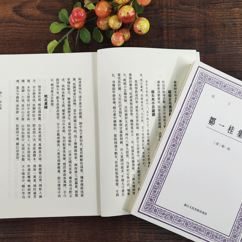 [正版]邹一桂集 中国艺术文献丛刊高清大图