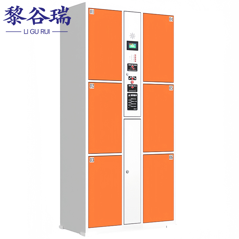 黎谷瑞智能寄存柜 寄存柜6门条码台
