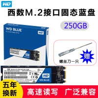 西部数据WD250G SSD固态硬盘 蓝盘 M.2接口 250GB SSD 兼容台式笔记本固态硬盘